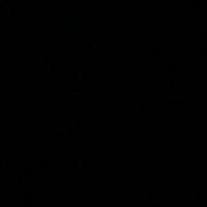 Meet your Posher, Maxwell